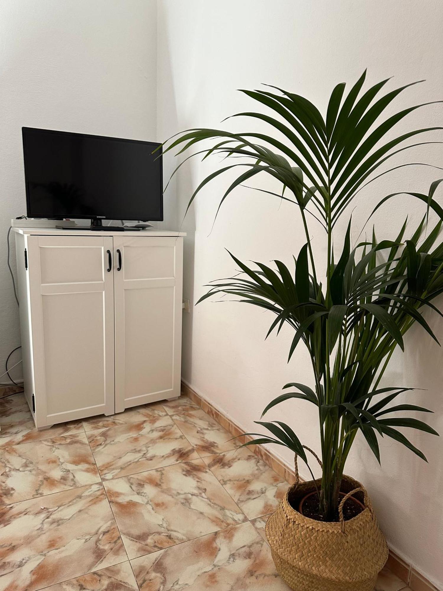 Apartamento Fortaleza Vallehermoso Buitenkant foto